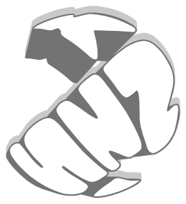 Kznsi logo
